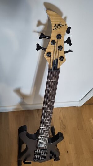 ESH Stinger 5 (4).jpg