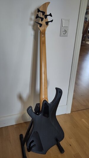 ESH Stinger 5 (5).jpg