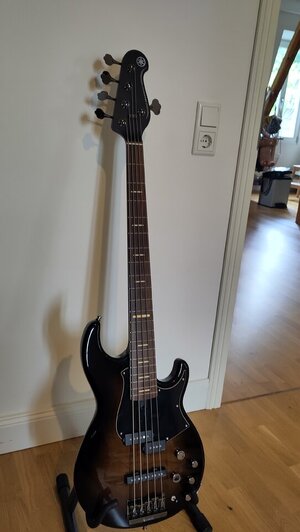 Yamaha BB735A DCSG (Dark Coffee Sunburst Gloss)