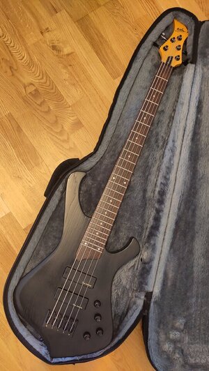 ESH Stinger 5 (11).jpg