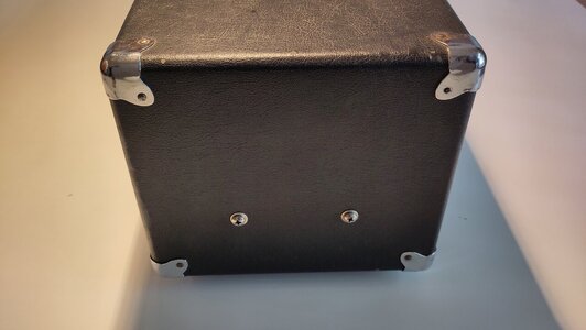 Ampeg V4B (5).jpg