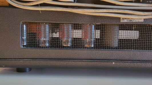 Ampeg V4B (7).jpg