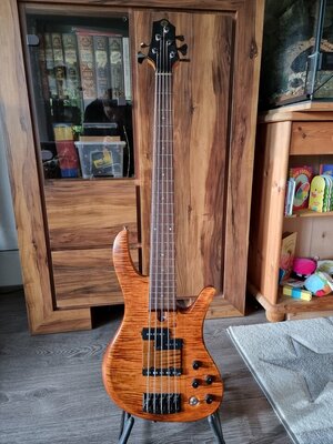 Belchev PJ5, bulgarischer Boutique Bass (Gotoh, Aguilar)