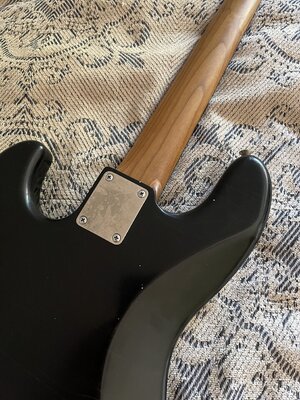 IMG_6700.jpeg