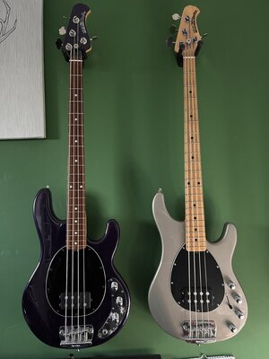 Music Man Stingray oder USA Sterling
