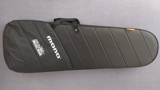 Ernie Ball Music Man Mono Sting Ray Case *neu* - reserviert für Alane -