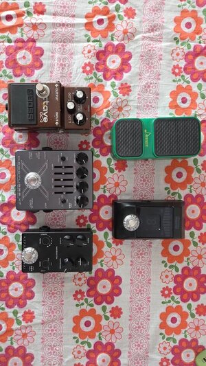 Pedalboard Auflösung - Darkglass, OC-2 + more