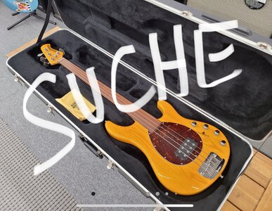 Suche: Music Man (USA) Sterling 4 UNLINED Fretless