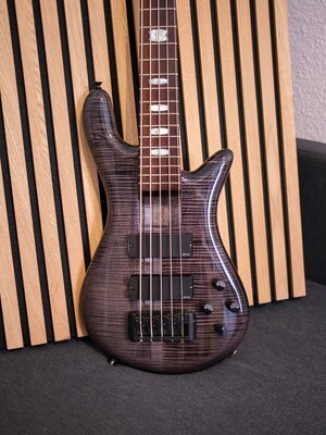 Spector Rebop 5 Dlx (mit einigen Modifikationen)