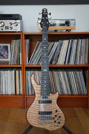 Suche Alembic 6 String Bass
