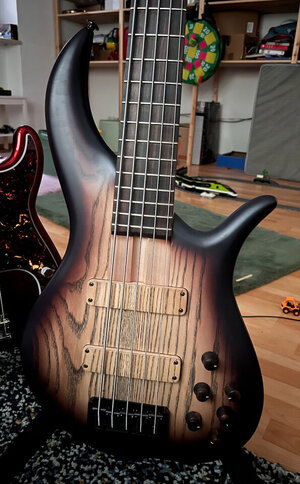 F Bass BN5 Brown Burst – de facto neu – 4.750 €