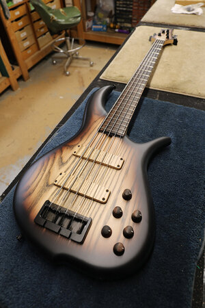 Brown-Burst-BN5.jpeg