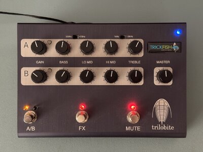 Trickfish Trilobite (Mike Pope, Fodera Electronics)