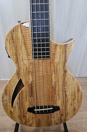 ESP LTD TL 5 Thinline Spalted Maple 5 String