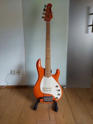 Reserviert! Music Man Stingray 5 H