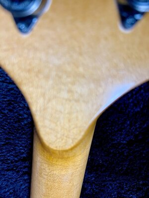 IMG_9295.jpeg