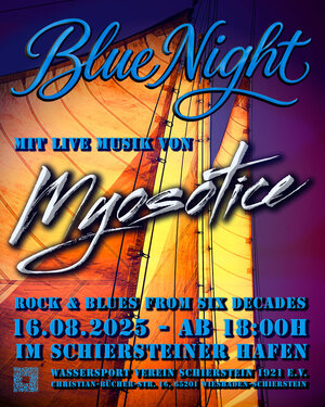 Blue Night Schierstein 2025.jpg