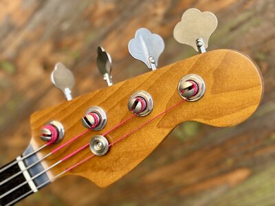 Warmoth 2.jpg