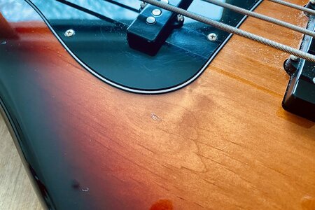 IMG_2856.jpeg