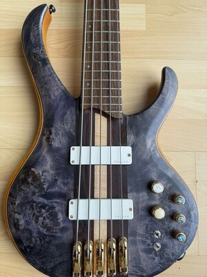 ibanez-btb-1605-5116219@2x.jpg