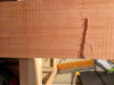 IMG_20250827_160500715_HDR.jpg IMG_20250827_160500715_HDR.jpg