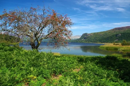 aIMGP1935 1000x662.webp