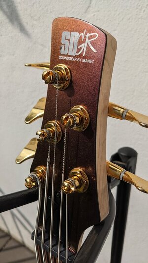Ibanez Soundgear SR305EDX-RGC (5-Saiter Bass)