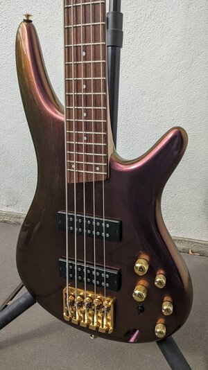 SR305EDX-RGC-2.jpg