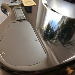 IMG_0674.JPEG