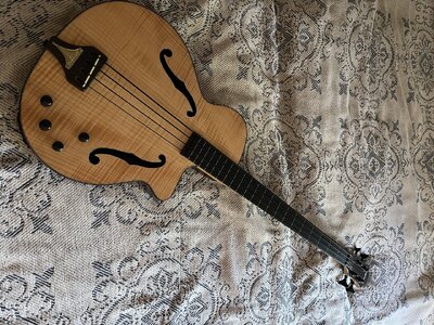 Epiphone Zenith fretless Bass - Pricedrop