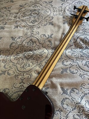 IMG_6902.jpeg