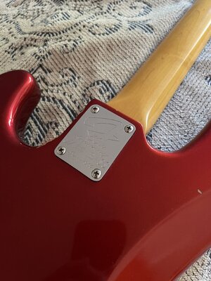IMG_6894.jpeg
