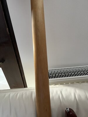IMG_1398.jpeg