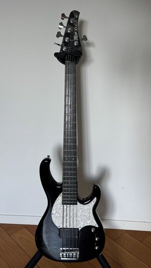 Modulus Flea Bass (1998, 1st Series with Flea Logo, Lane Poor Pickups)