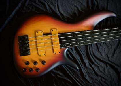 F-Bass BN5 Fretless ***NEUWERTIG***