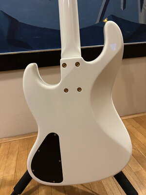 IMG_9701 2.jpeg