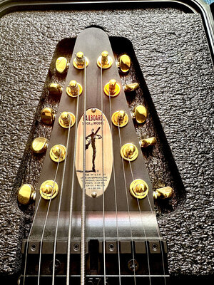 Chapman Stick: 10-String Railboard