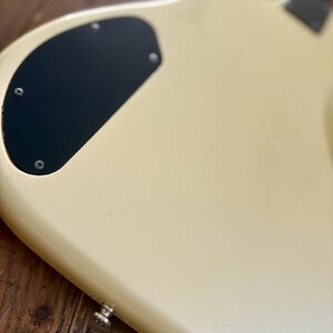 IMG_0585.jpeg