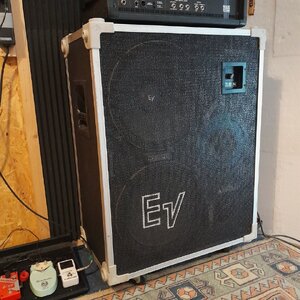 Bassbox Electrovoice B 215 M mit Case