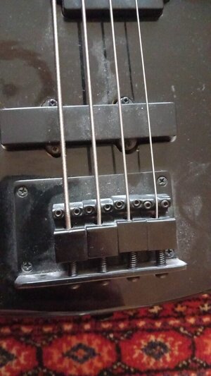 Bass 4.jpg