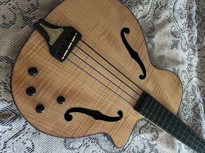 Epiphone Zenith fretless Bass - Pricedrop