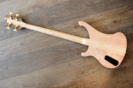 Rickenbacker 4004- Full-back_1500.jpg
