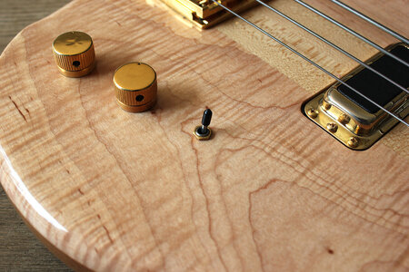 Rickenbacker 4004-controls_1500.jpg