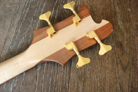 Rickenbacker 4004-headstock-back_1500.jpg