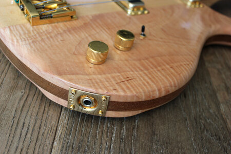 Rickenbacker 4004-output_1500.jpg