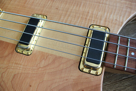 Rickenbacker 4004-pickups_1500.jpg