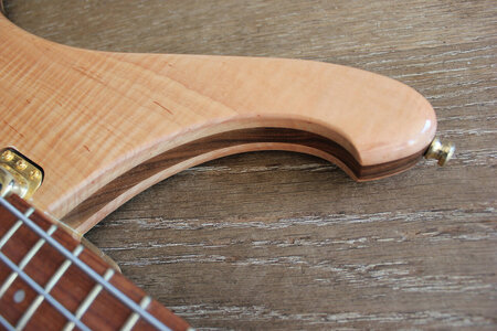 Rickenbacker 4004-uppern-horn_1500.jpg
