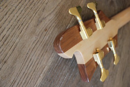 Rickenbacker 4004-headstock-ding_1500.jpg
