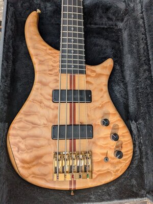 Pedulla Thunder bass