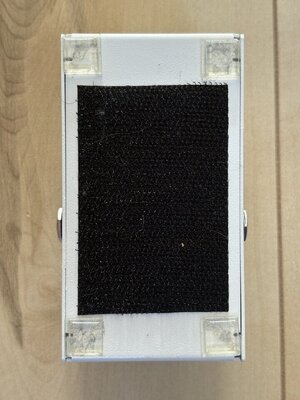 IMG_9081.jpeg
